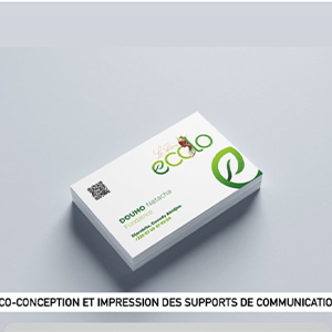 Projet 1